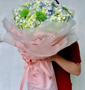 Bó hoa cẩm tú cầu